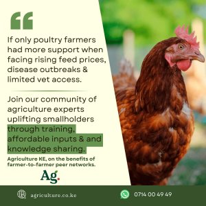 Message to poultry farmers