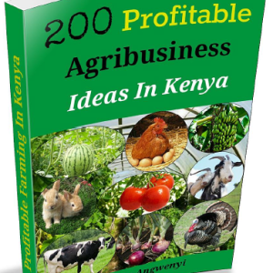 200 Most Profitable Agribusiness Ideas In Kenya